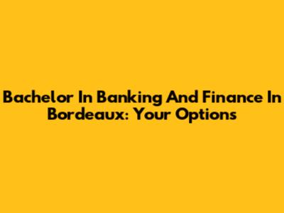 Bachelor In Banking And Finance In Bordeaux: Your Options